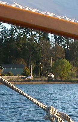 Little House on the Bay